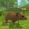 mouse-simulator-wild-life-android